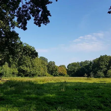 Wohlfuehloase Am Bad Zwischenahner Meer Extérieur photo
