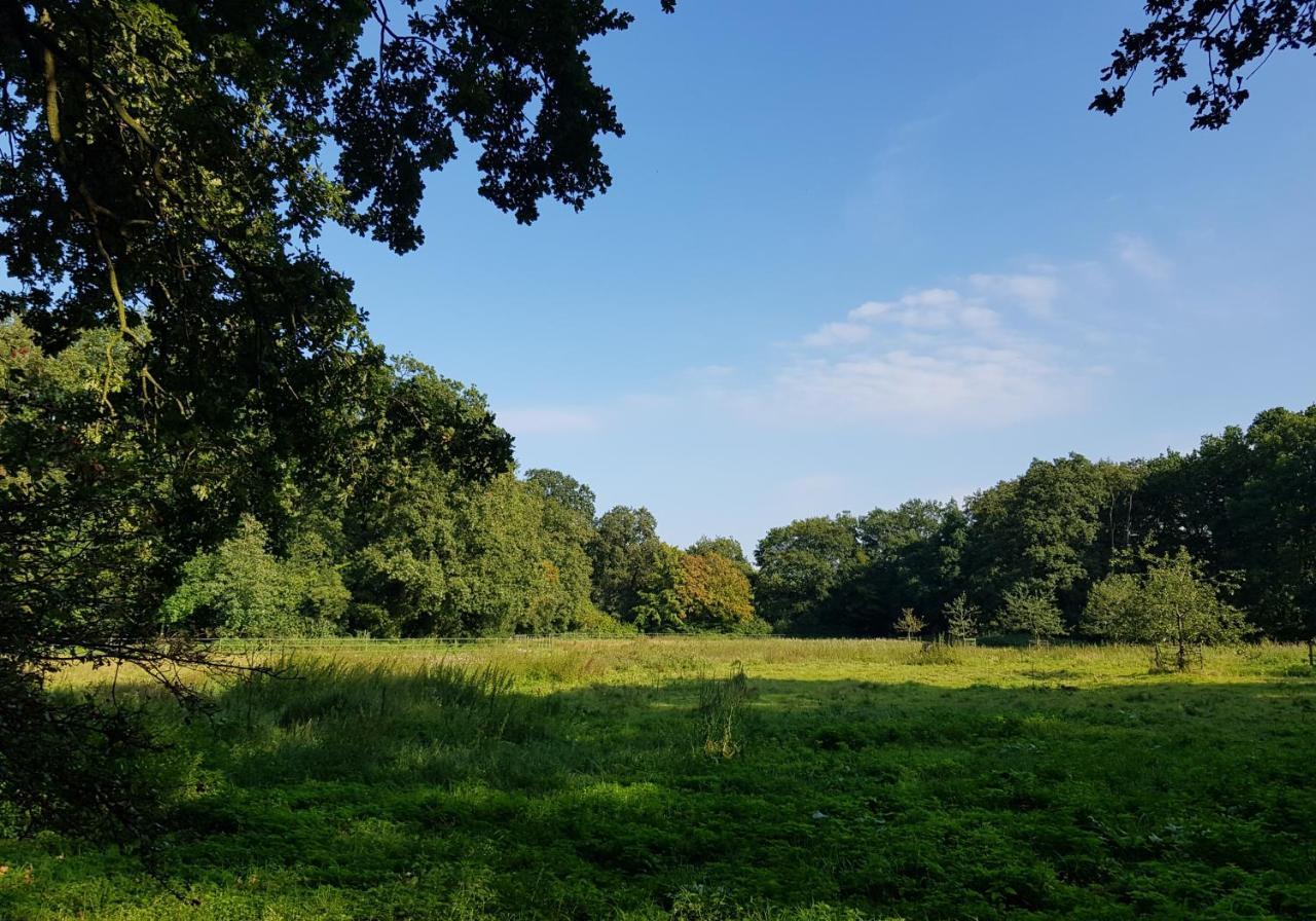Wohlfuehloase Am Bad Zwischenahner Apartment Bad Zwischenahn